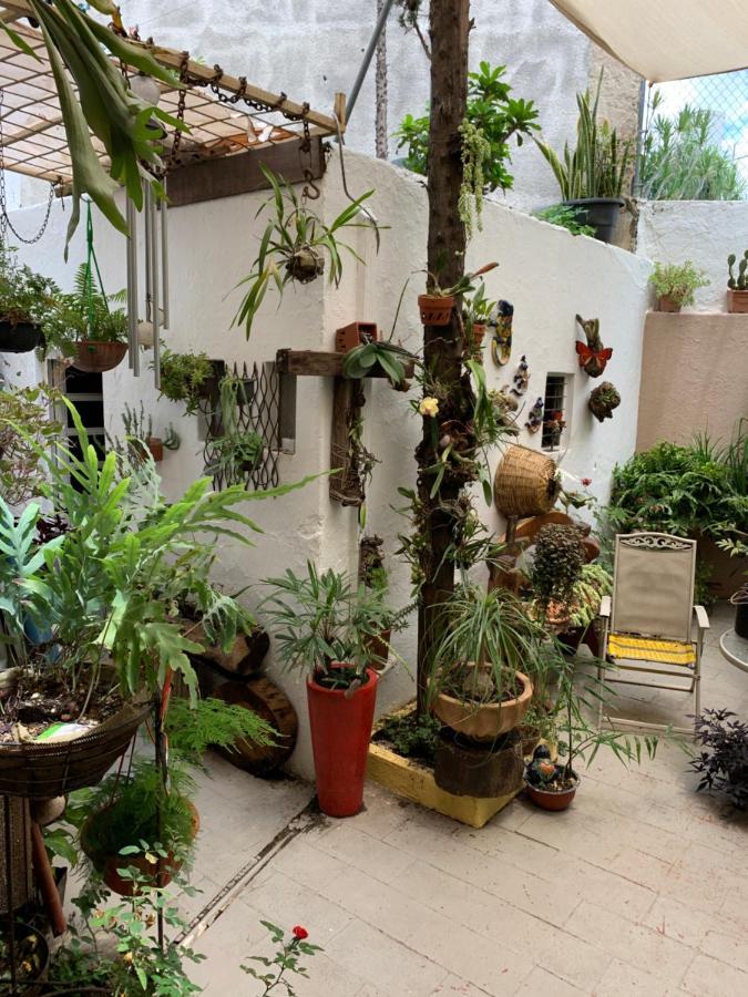 Apartament Casa La Minerva Guadalajara Zewnętrze zdjęcie
