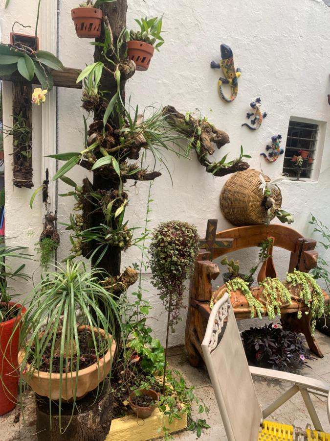 Apartament Casa La Minerva Guadalajara Zewnętrze zdjęcie